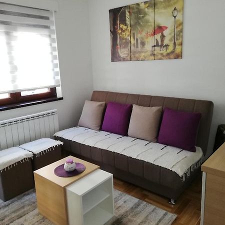 Apartman Milosevic زلاتيبور المظهر الخارجي الصورة