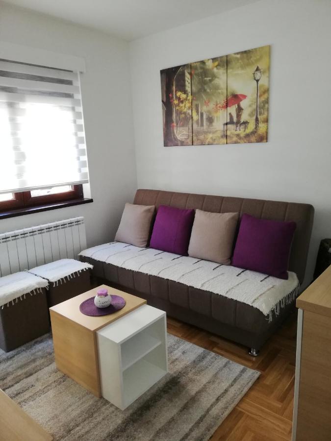 Apartman Milosevic زلاتيبور المظهر الخارجي الصورة